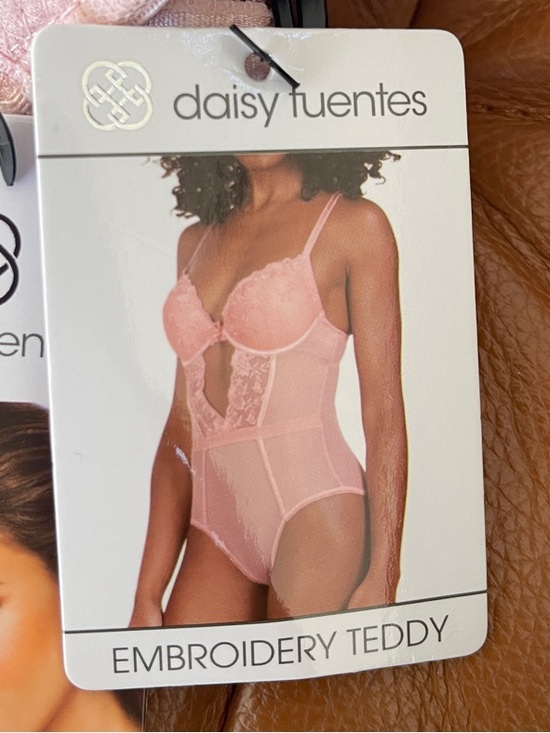 Daisy Fuentes Other - Daisy Fuentes Blush Pink Embroidered Lace Teddy